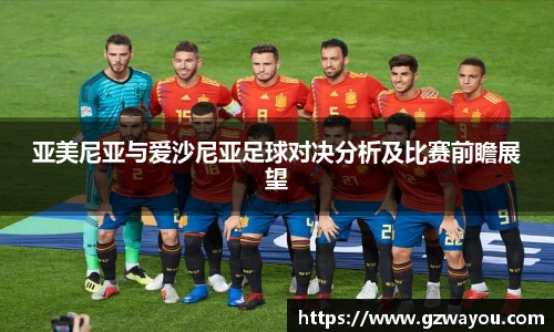 yy易游亚美尼亚与爱沙尼亚足球对决分析及比赛前瞻展望
