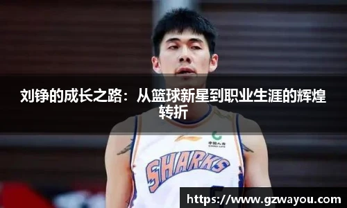 yy易游刘铮的成长之路：从篮球新星到职业生涯的辉煌转折