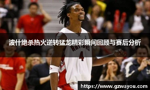 波什绝杀热火逆转猛龙精彩瞬间回顾与赛后分析